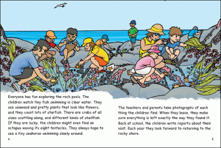 Red Rocket Fluency Level 4 Fiction B (Level 21): The Rocky Shore Report