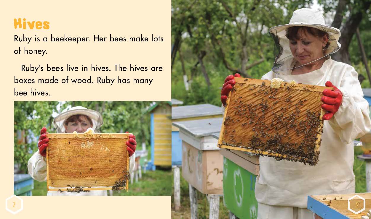 Sunshine Starters Level 15: Ruby is a Beekeeper