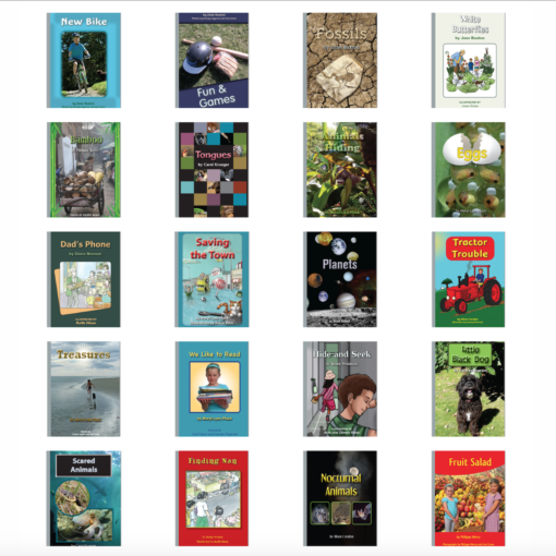 Digital Rainbows: Silver Series 20 Digital Books + Activities(Perpetual)