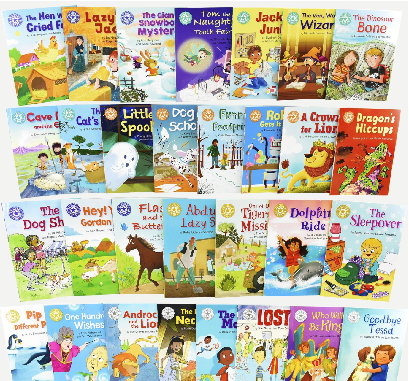 Reading Champion Developing Readers 30 Book Set