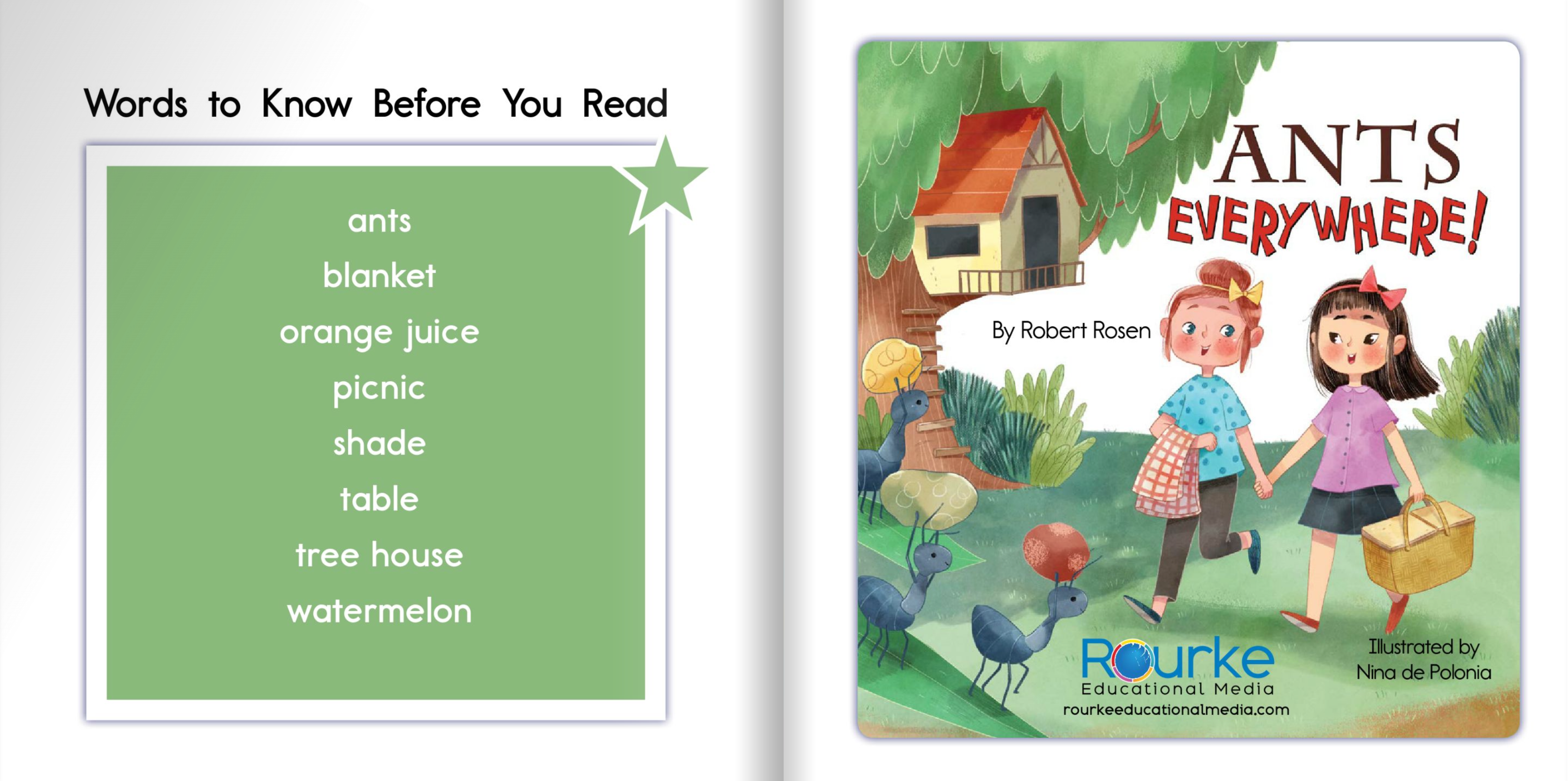 Ready Readers:Ants Everywhere!