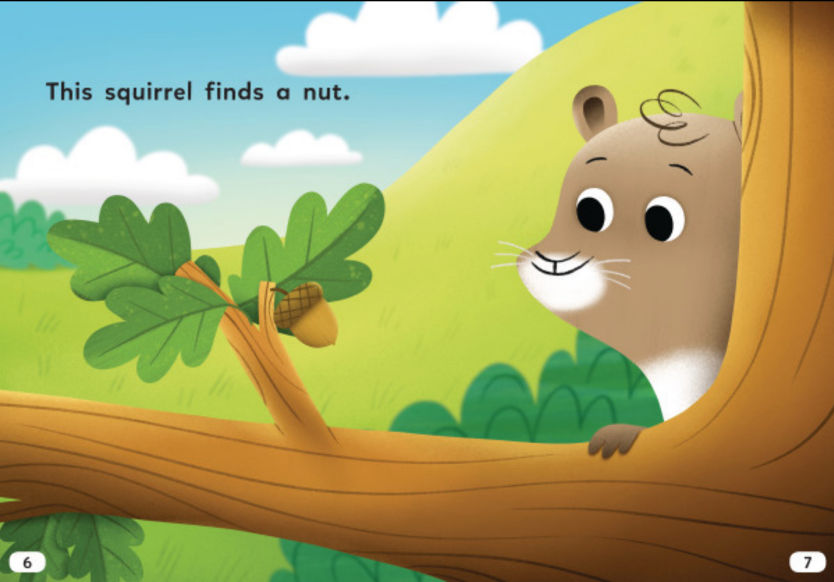 Let's Look at Animal Habitats:A Good Nut