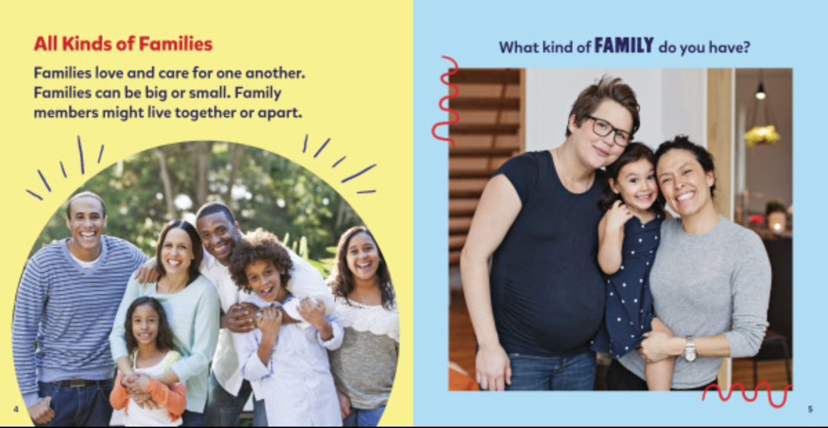 Families Like Mine(Paperback)