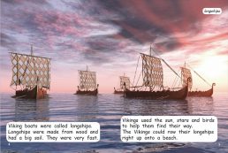 Red Rocket Fluency Level 2 Non Fiction C (Level 18): Vikings