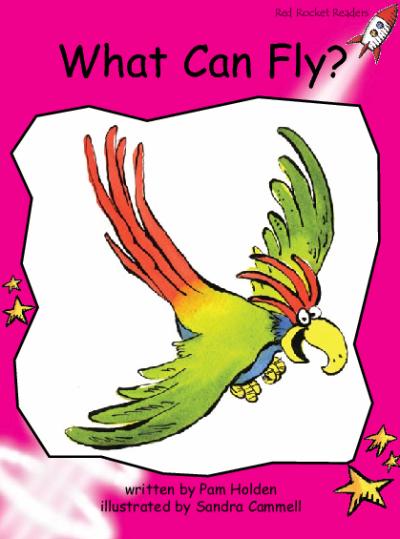 Red Rocket Emergent Fiction A (Level 2): What Can Fly?