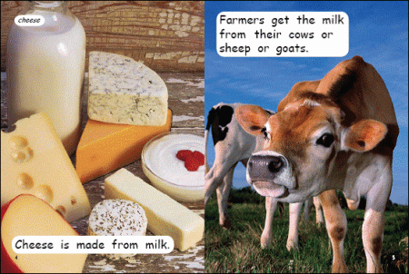 Red Rocket Early Level 3 Non Fiction B (Level 10): What Is It Made Of?