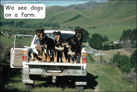 Red Rocket Emergent Non Fiction B (Level 2): Who Lives on a Farm?