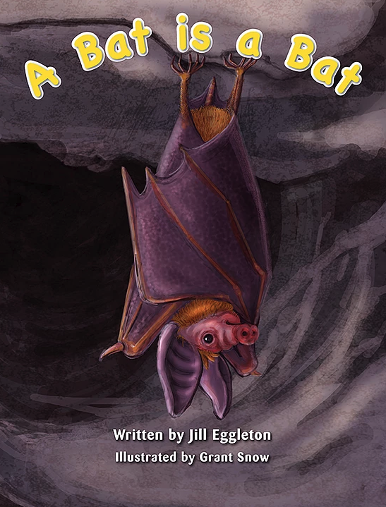 KL Shared Book Year 3: A Bat is a Bat