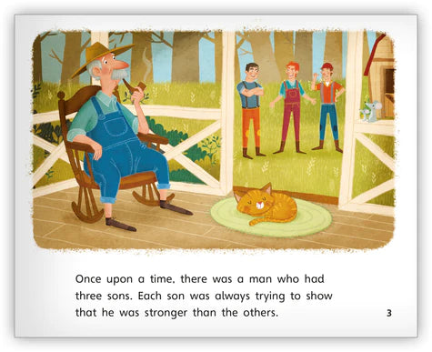 A Bundle of Sticks (Fables & The Real World)-Big Book