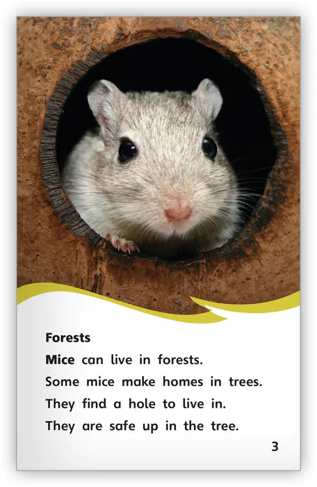 A House for a Mouse(Fables & The Real World)