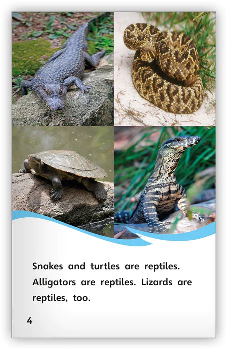 All About Lizards (Fables & The Real World)