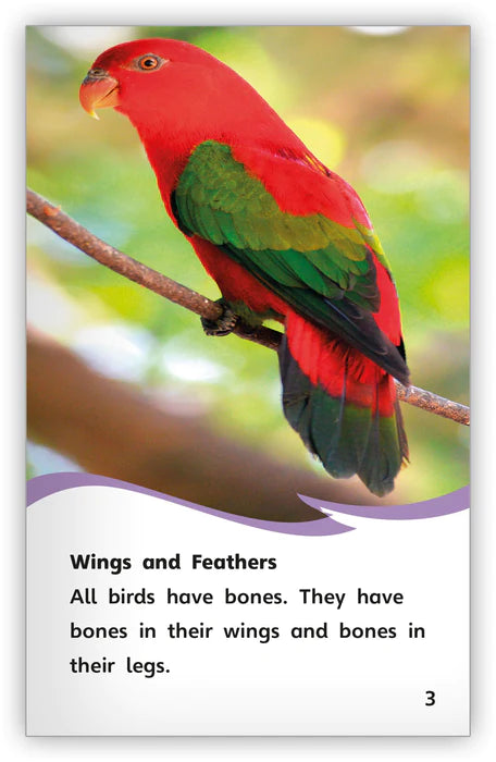 Birds (Fables & The Real World)