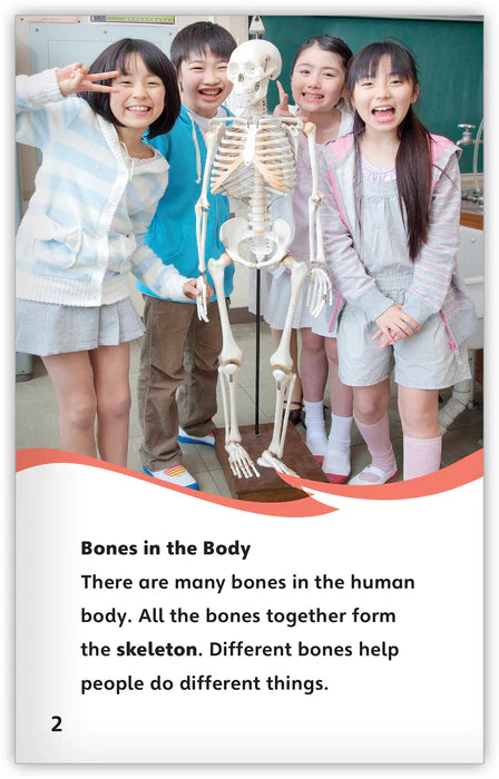 Broken Bones (Fables & The Real World)