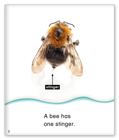 Kid Lit Level C(Community)Count with Bees