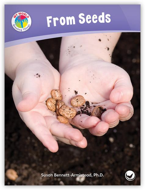 My World: From Seeds
