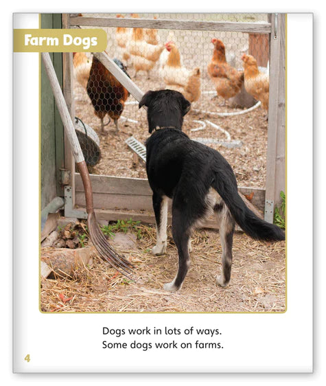 Dogs at Work (Story World Real World)