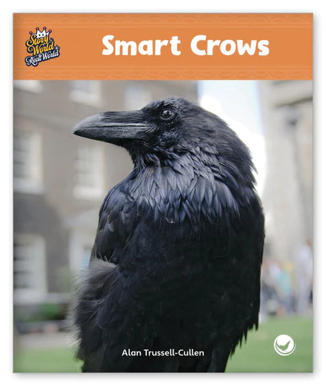 Smart Crows (Story World Real World)