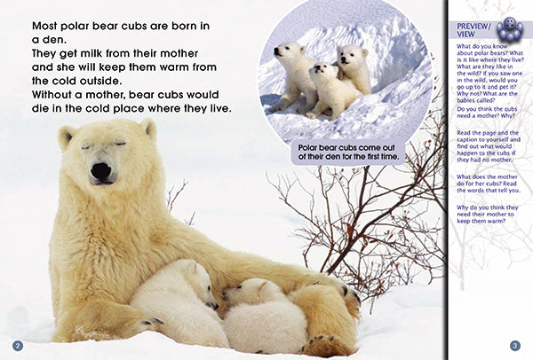 Key Links Green Book 5, Level 12: Knut A Pet or Not?