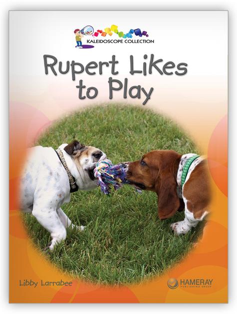 Kaleidoscope GR-C: Rupert Likes to Play