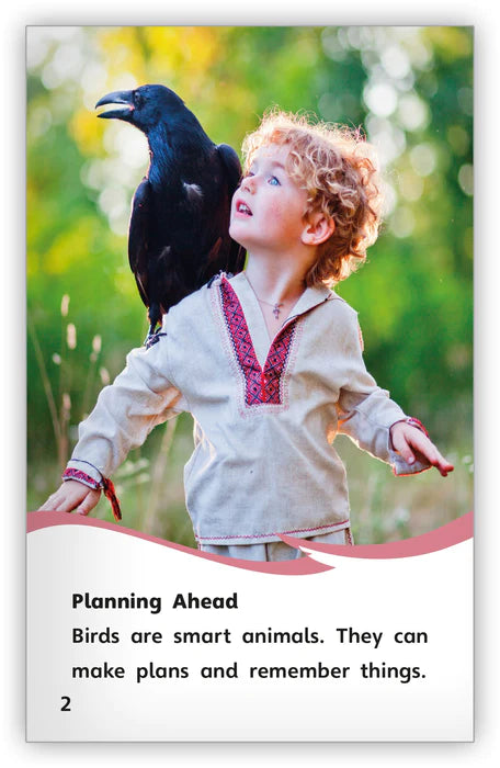 Smart Birds, Amazing Birds (Fables & The Real World)