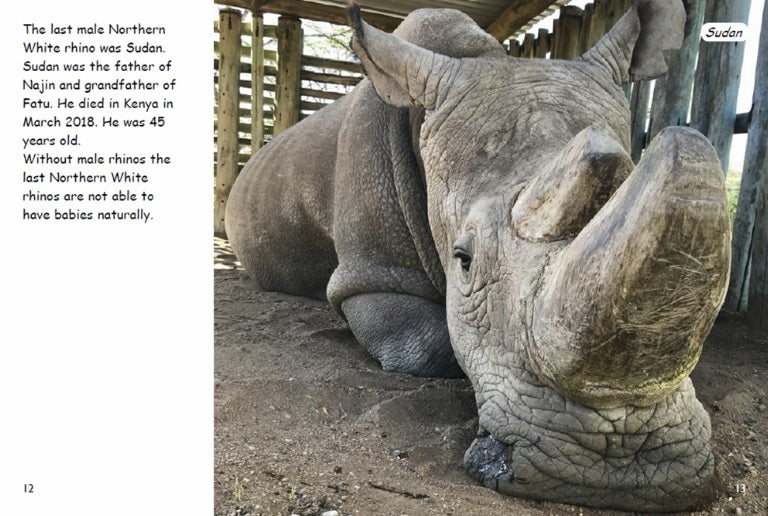 Red Rocket Fluency Level 4 Non Fiction C (Level 22):The Last Rhinos
