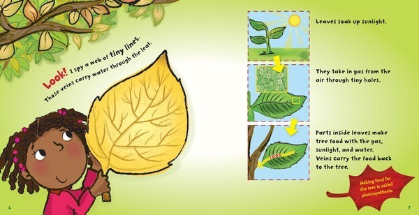 Fall's Here!: Fall Leaves Colorful and Crunchy