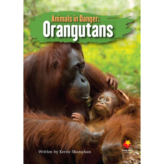 FS Level T:Animals in Danger: Orangutans