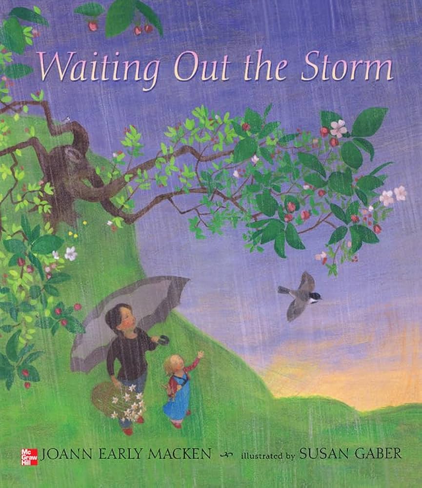 Waiting Out the Storm(Big Book)