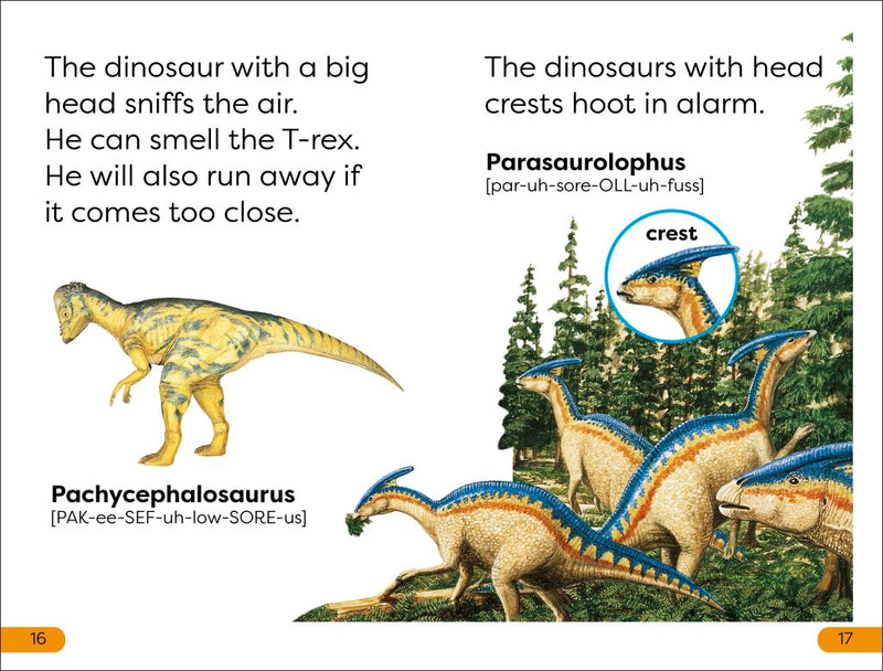 DK Super Readers Level 1: Dinosaur's Day