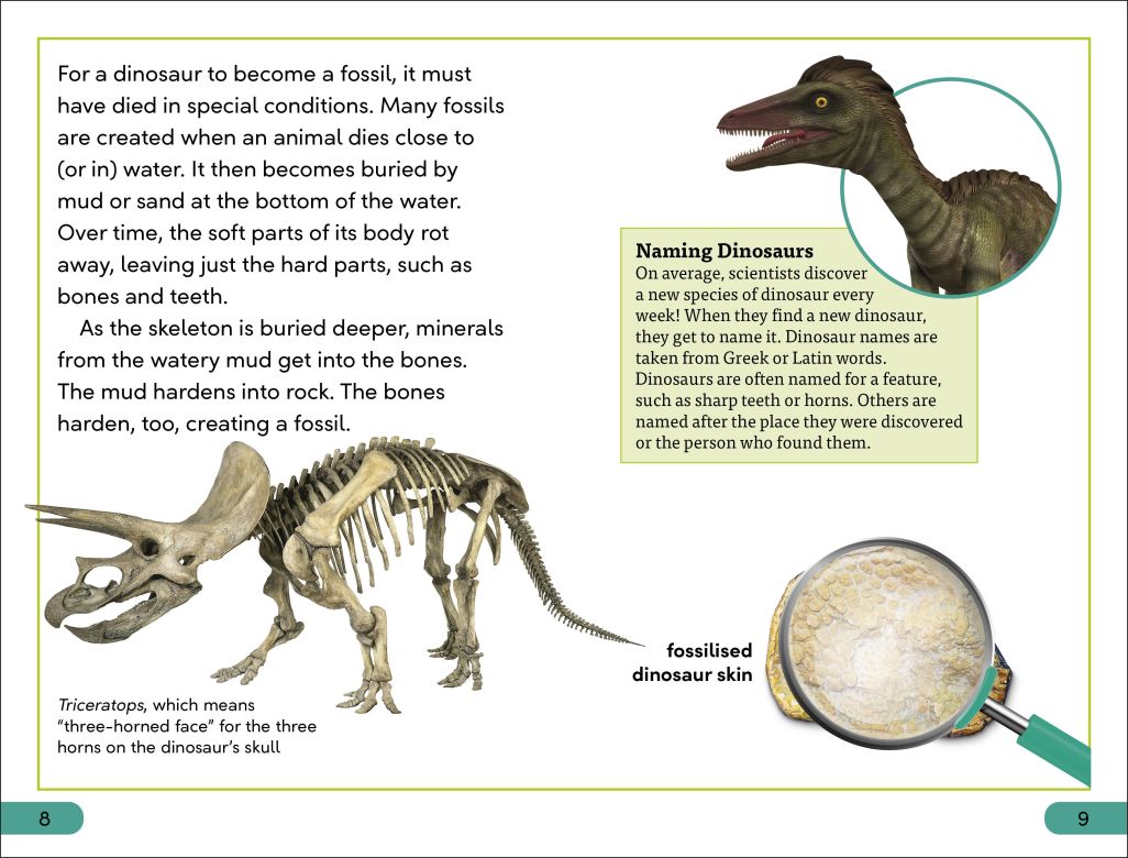 DK Super Readers Level 3: Dinosaurs Discovered