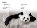 DK Super Readers Level 2: The Great Panda Tale