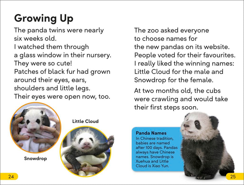 DK Super Readers Level 2: The Great Panda Tale