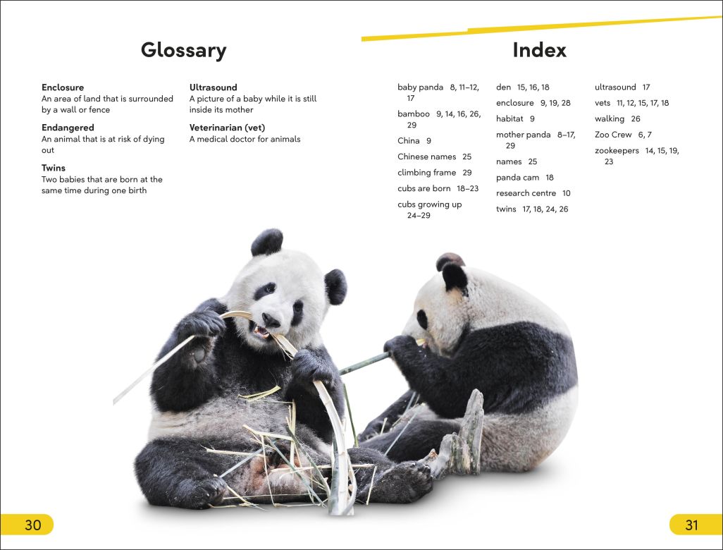DK Super Readers Level 2: The Great Panda Tale