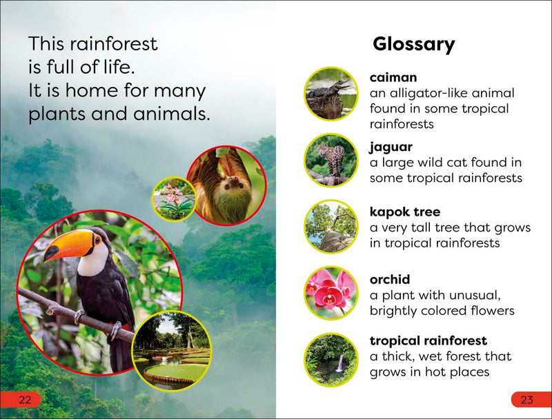 DK Super Readers Pre-Level Into the Rainforest