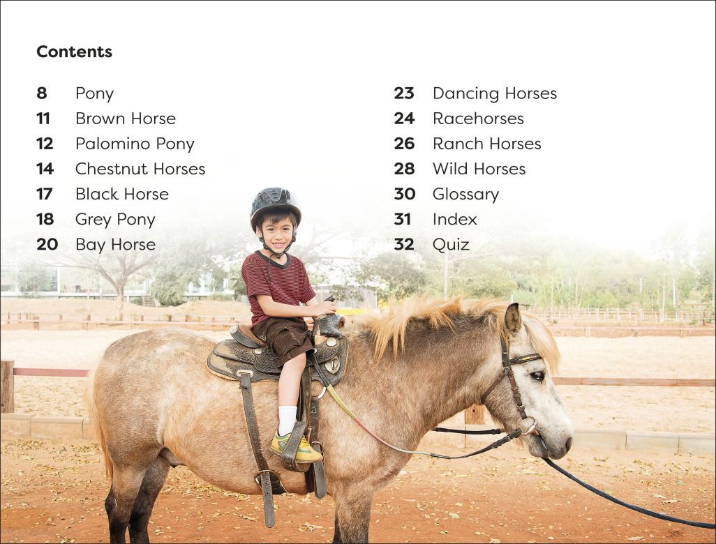 DK Super Readers Level 1: Ponies and Horses