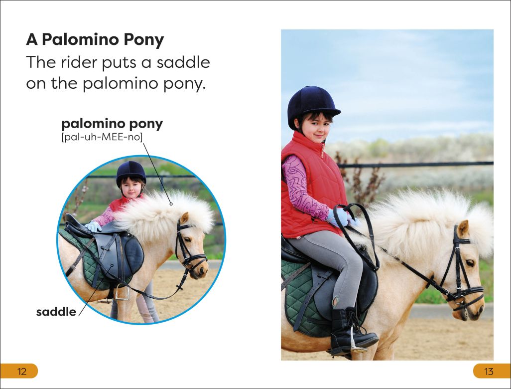 DK Super Readers Level 1: Ponies and Horses