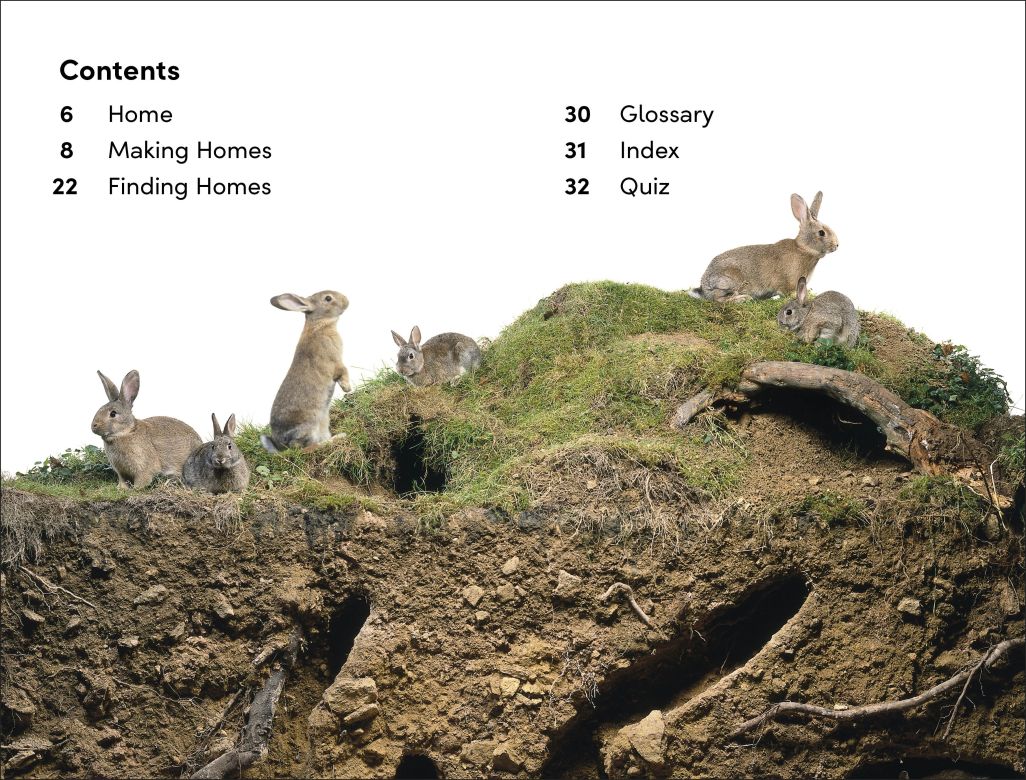 DK Super Readers Level 2: Animals at Home