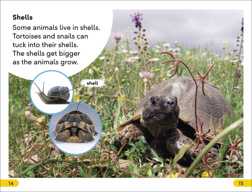 DK Super Readers Level 2: Animals at Home