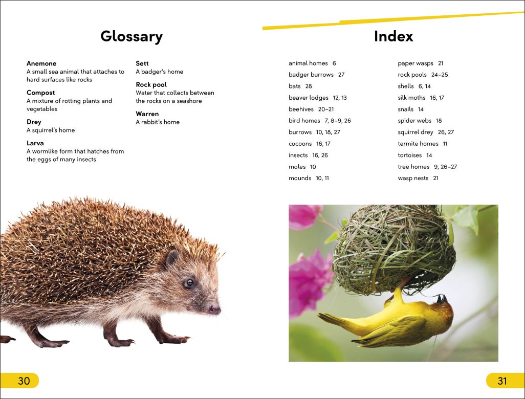 DK Super Readers Level 2: Animals at Home