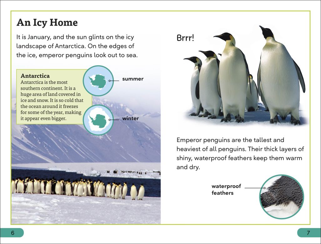 DK Super Readers Level 3: Emperor Penguins