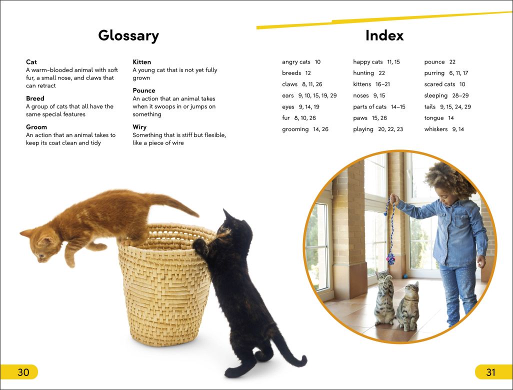 DK Super Readers Level 2: Cats and Kittens