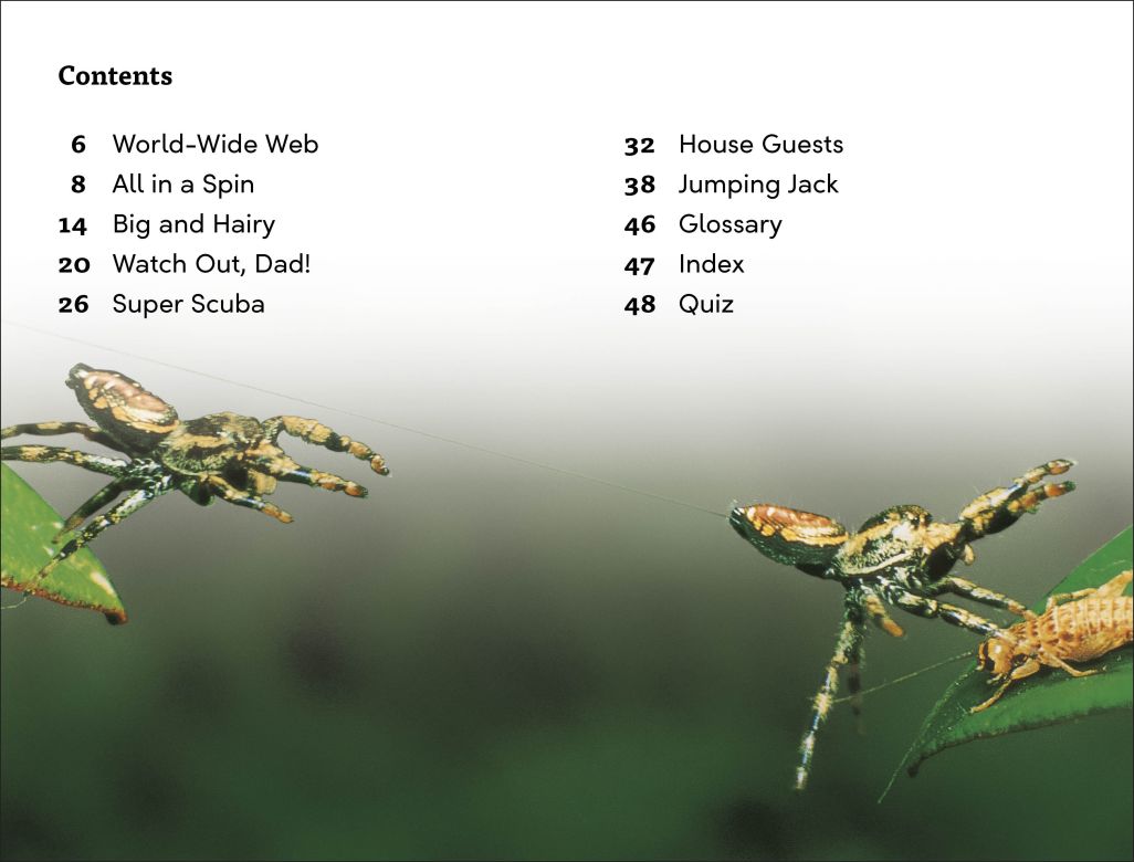 DK Super Readers Level 3: Spiders' Secrets
