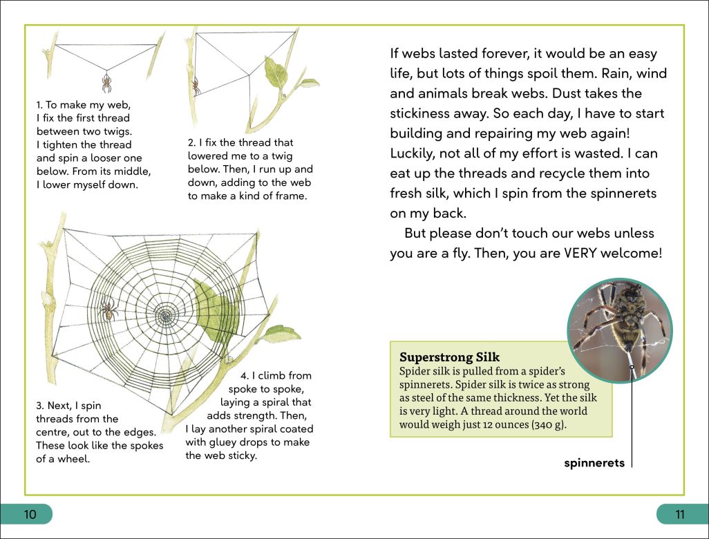 DK Super Readers Level 3: Spiders' Secrets