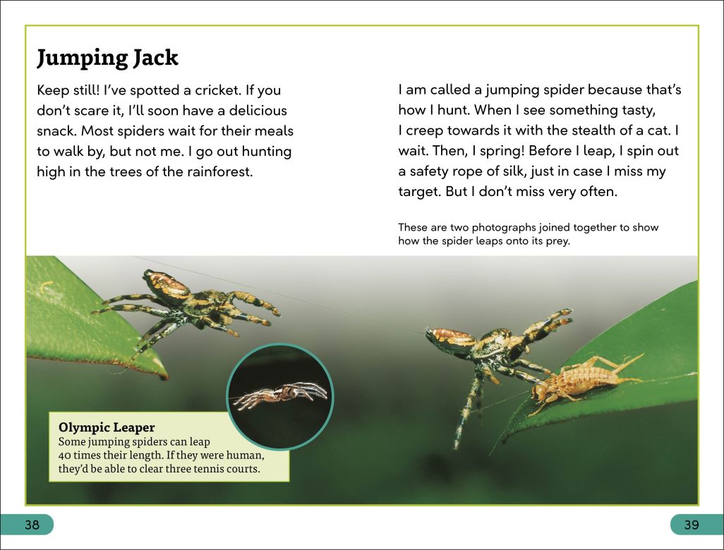 DK Super Readers Level 3: Spiders' Secrets