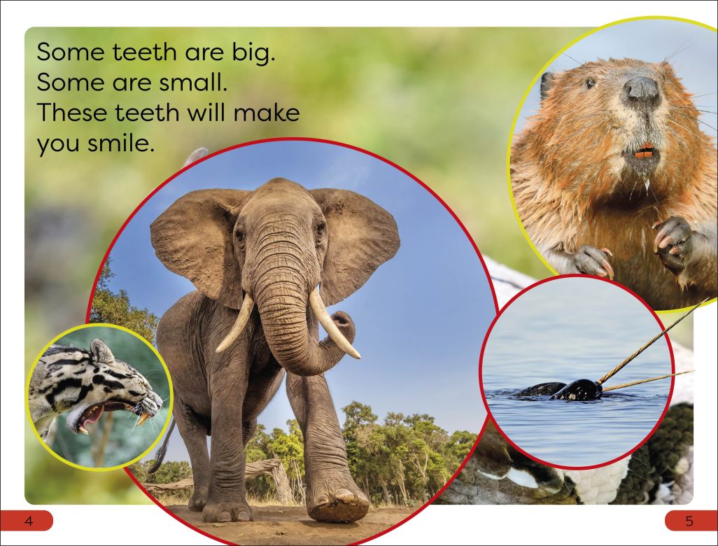 DK Super Readers Pre-Level Chomp! Big Teeth