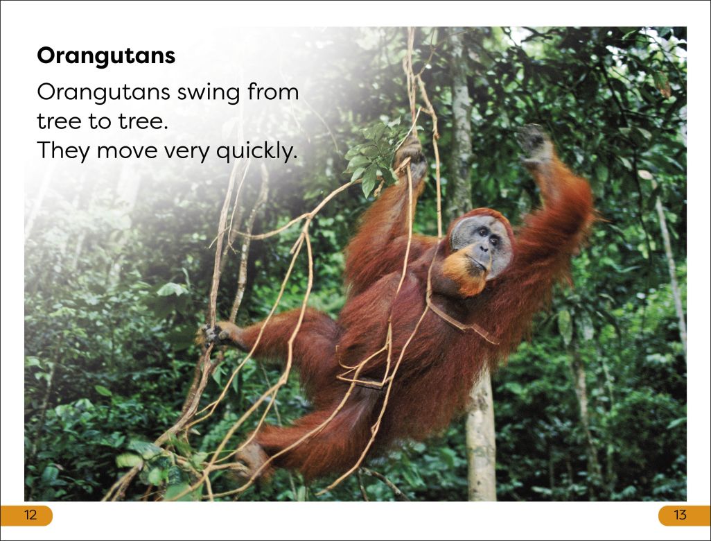 DK Super Readers Level 1: Jungle Animals