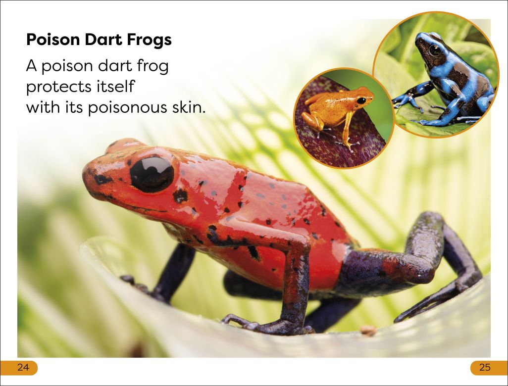 DK Super Readers Level 1: Jungle Animals