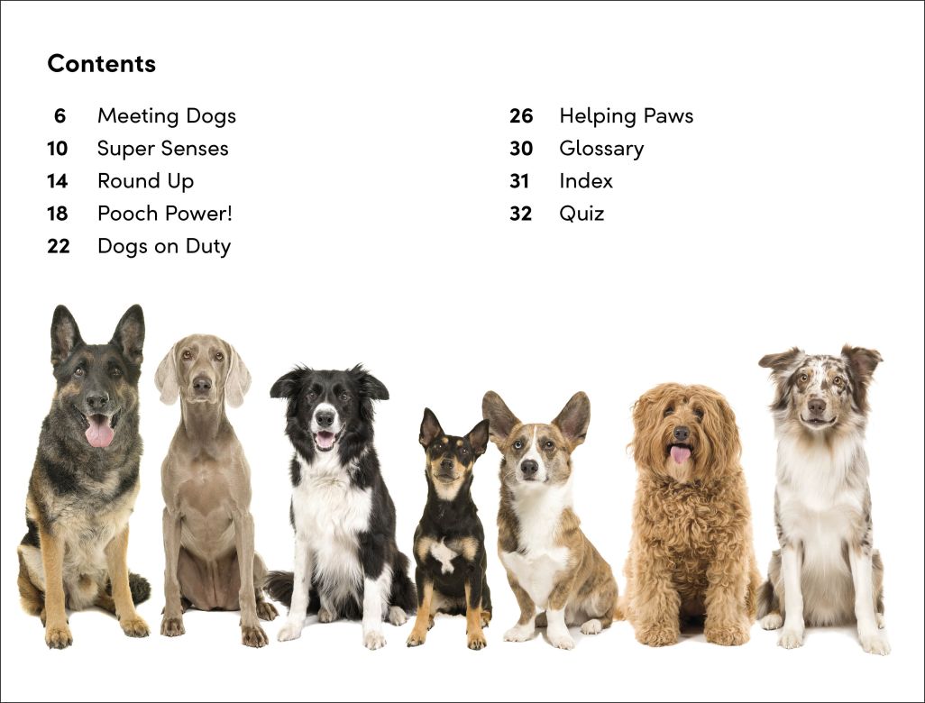 DK Super Readers Level 2: Amazing Dogs