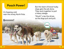DK Super Readers Level 2: Amazing Dogs