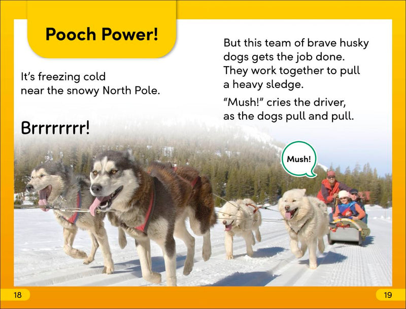 DK Super Readers Level 2: Amazing Dogs